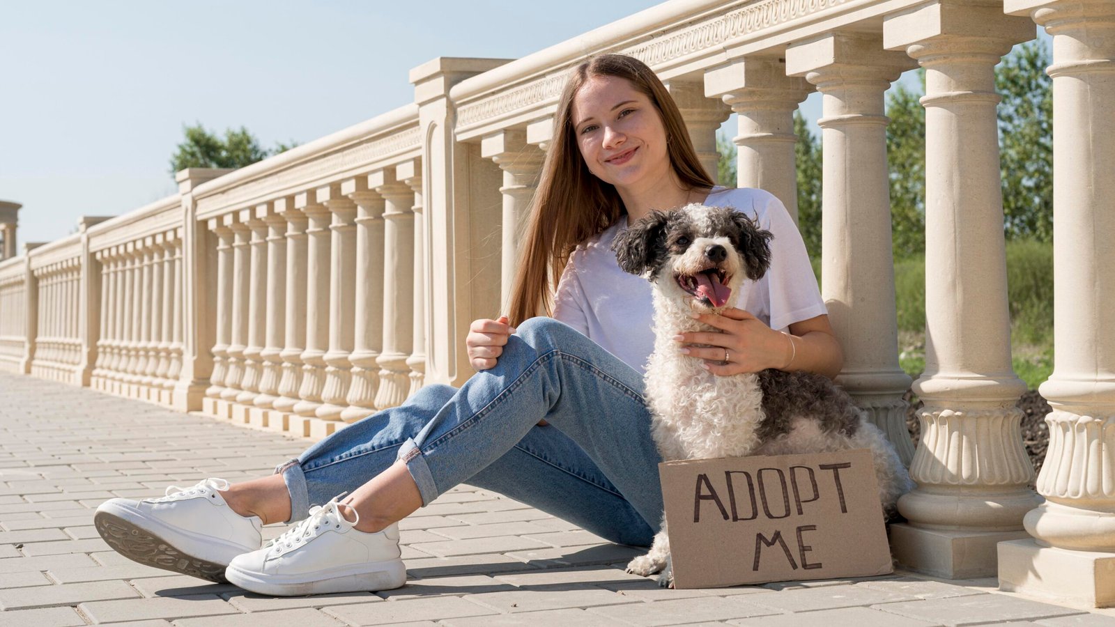 Dog adoption in Philadelphia, PA